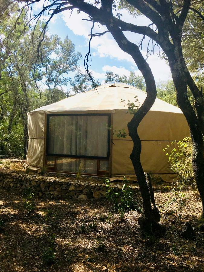 Lodge Les Jardins De Chiron Et Tiny House Dans Le Sud *